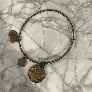 Alex And Ani Granddaughter Charm Rafaelian Gold Finish Bangle Bracelet